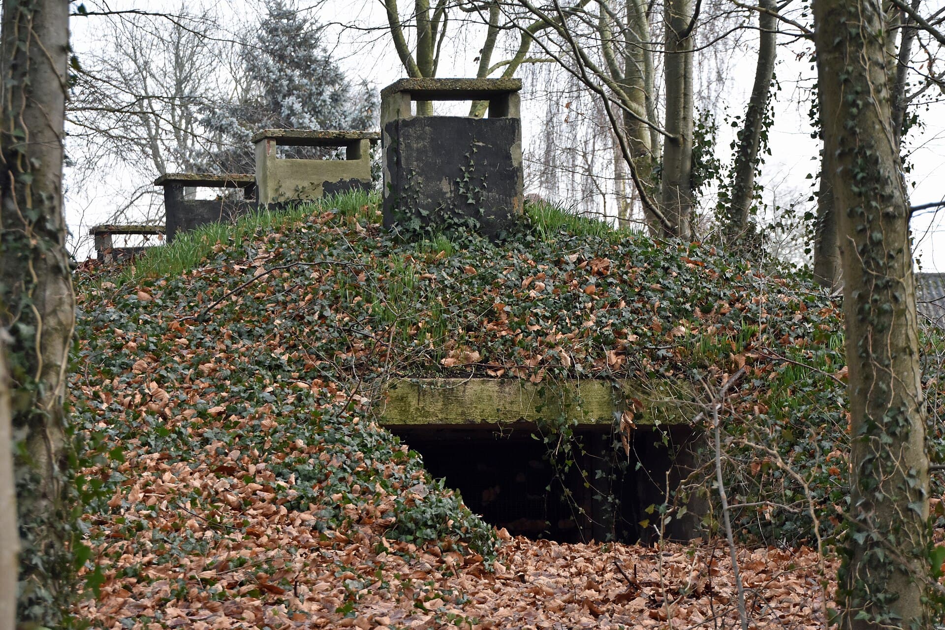 Imagine de arhivă cu orașul Tulcea și zona din nordul județului. (Foto de arhivă: Thomas Dahlstrøm Nielsen / CC BY-SA 4.0, Wikimedia Commons)