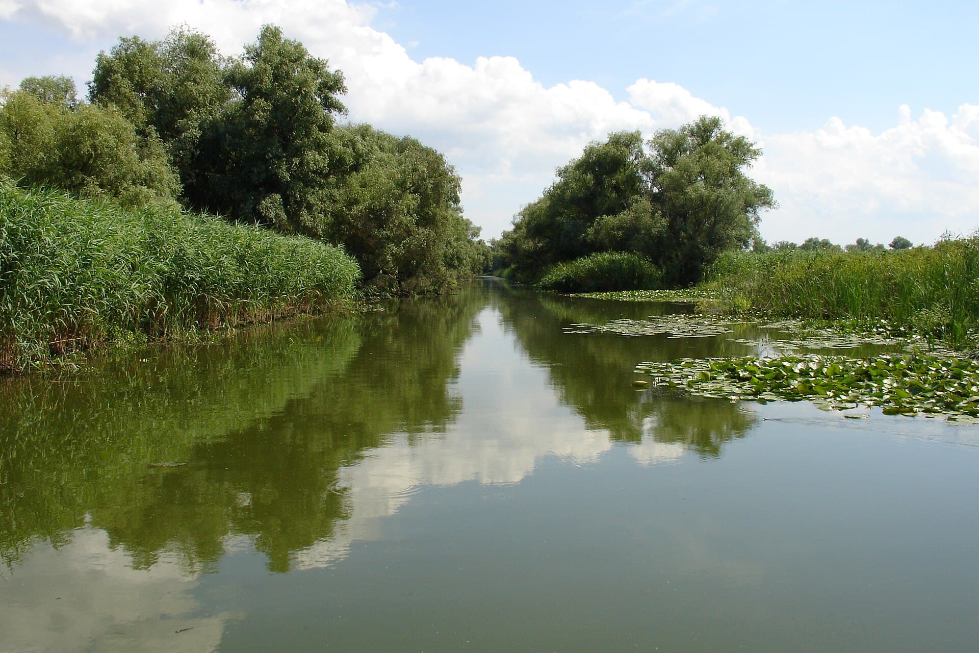 Delta Dunării, zona în care a fost interceptată și distrusă drona. (Foto: MarO2 / Public domain, Wikimedia Commons)