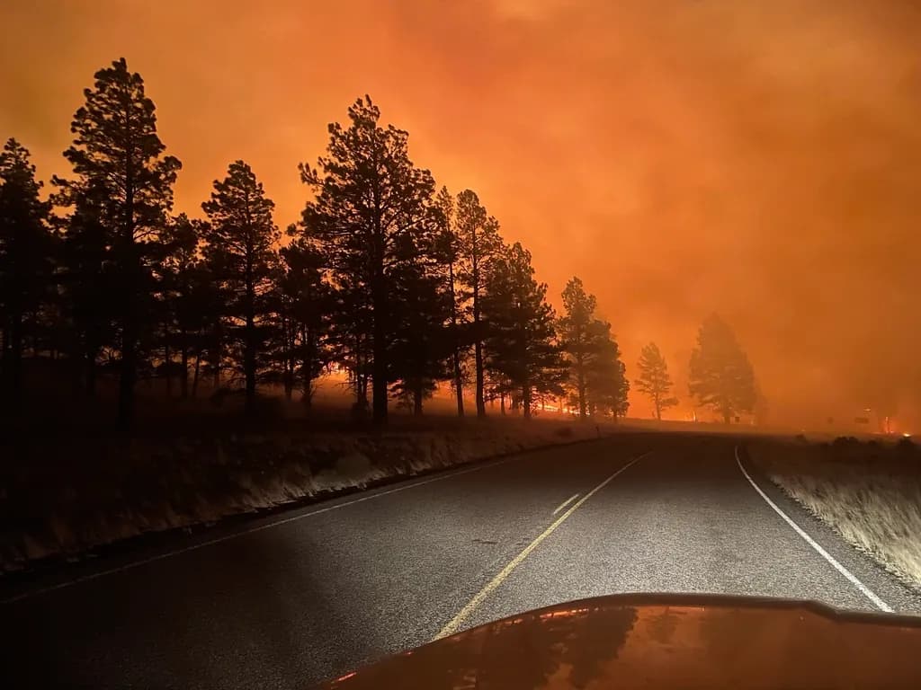 Un drum printr-o zonă împădurită, învăluită de fum și luminată de un incendiu de vegetație. (Foto ilustrativă: necunoscut / CC0 1.0, Openverse)