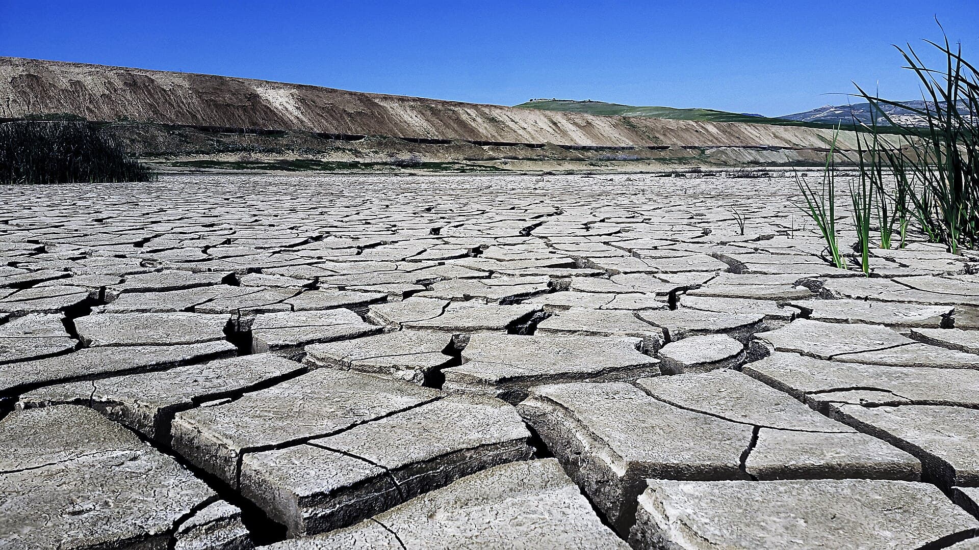 Un lac sau un rezervor de apă secat, cu solul crăpat și vegetație uscată pe margine. (Foto de arhivă: Hydrosami / CC BY-SA 4.0, Wikimedia Commons)