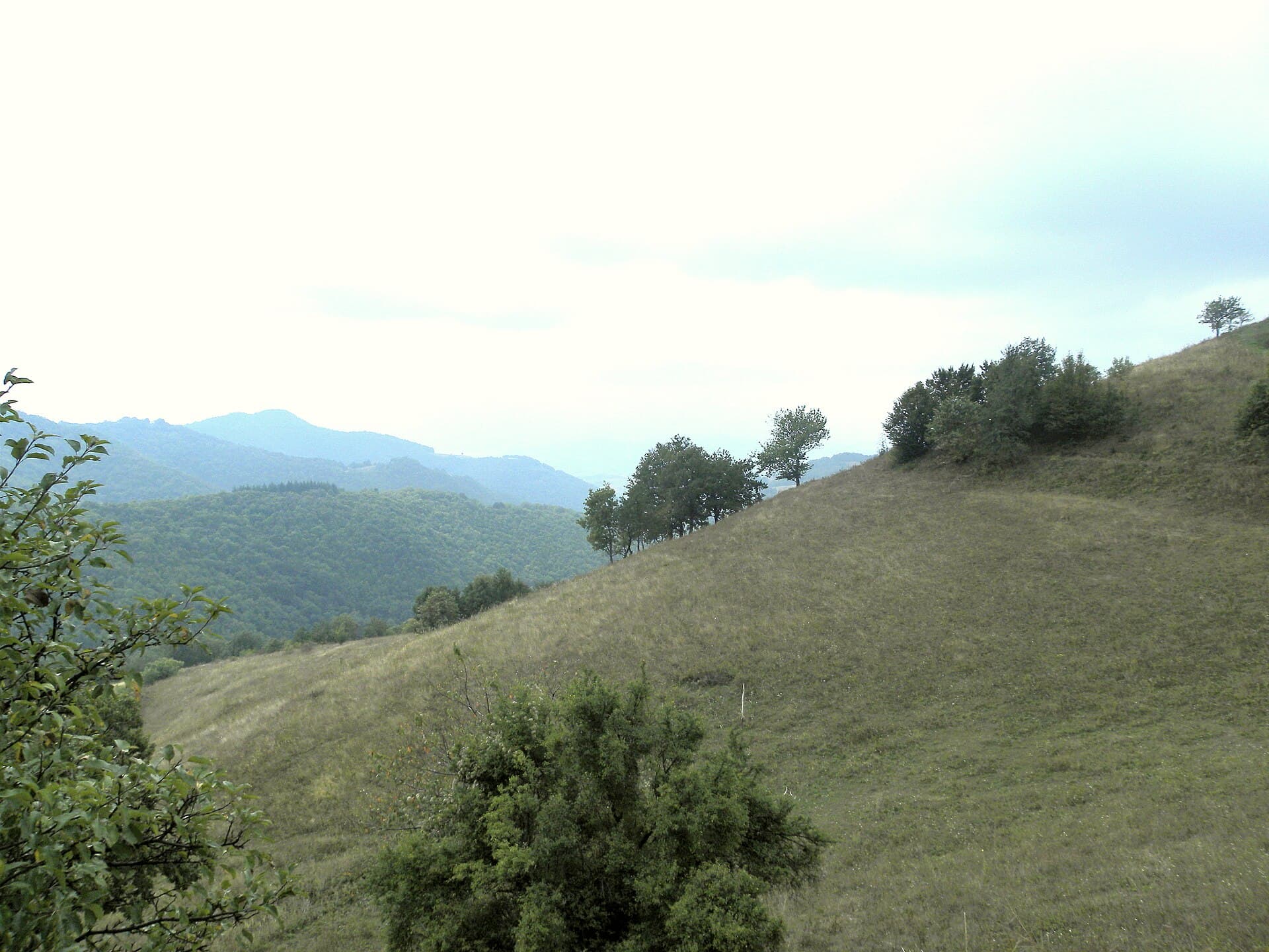 Peisaj montan cu dealuri și versanți împăduriți, fotografiat în aer liber. (Foto: Jiří Bernard / CC BY-SA 3.0, Wikimedia Commons)