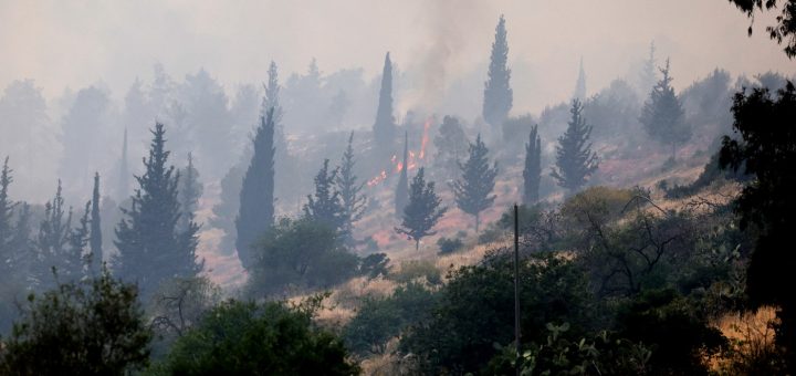 HOTNEWS.RO: VIDEO Incendii de vegetație în apropiere de Ierusalim. Netanyahu vrea să ceară sprijin din străinătate