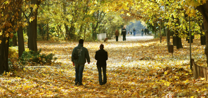 HOTNEWS.RO: Cum va fi vremea în următoarea lună: ANM anunță temperaturi mai calde decât e normal / Săptămâna când sunt ploi abundente
