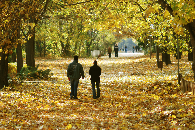 HOTNEWS.RO: Cum va fi vremea în următoarea lună: ANM anunță temperaturi mai calde decât e normal / Săptămâna când sunt ploi abundente