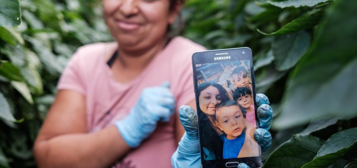 HOTNEWS.RO: Un caz de la Socola, descris recent de NYT, redeschide discuția despre cât de grav este „sindromul Italia” în România și dacă el se extinde și la tineri. „Vino și scoate-mă de aici!”