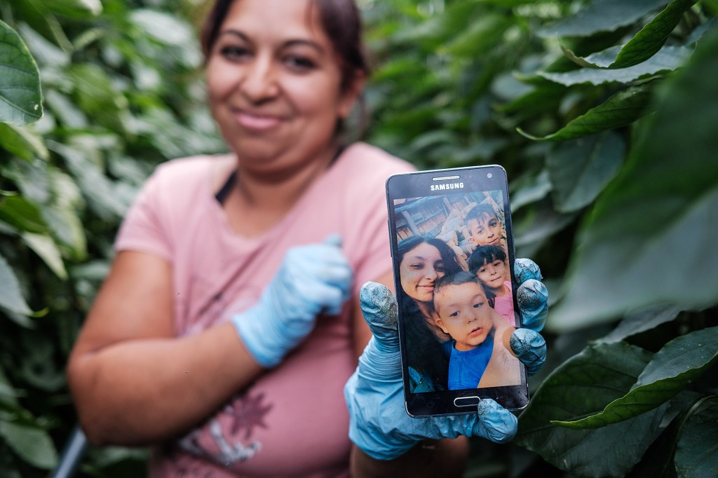 HOTNEWS.RO: Un caz de la Socola, descris recent de NYT, redeschide discuția despre cât de grav este „sindromul Italia” în România și dacă el se extinde și la tineri. „Vino și scoate-mă de aici!”