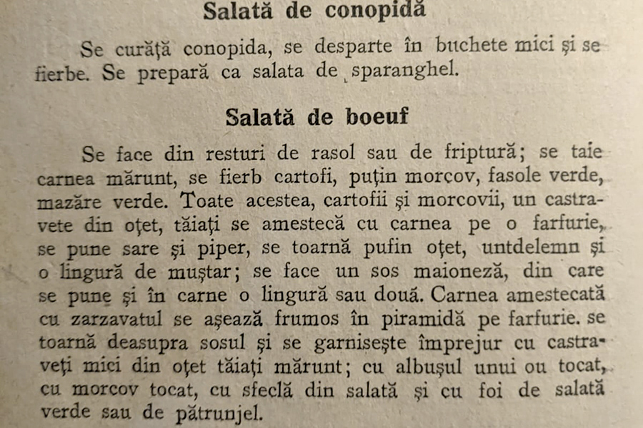 HOTNEWS.RO: „Salata de boeuf e mâncare dumnezeiască”. Istoria celui mai „controversat” preparat românesc de sărbătoare / Diferențele dintre primele rețete și cele de acum