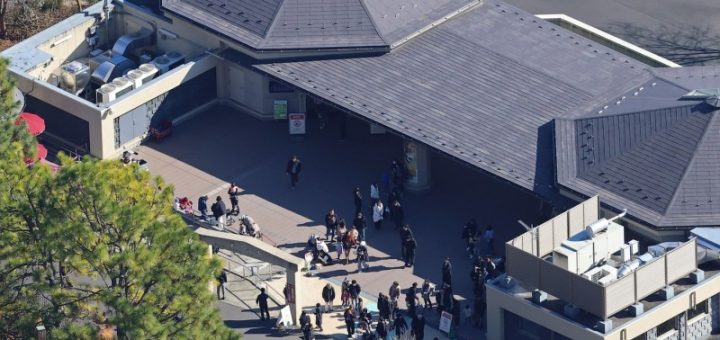 HOTNEWS.RO: VIDEO Panică la o grădină zoologică din Tokyo după ce un lup a evadat din țarc