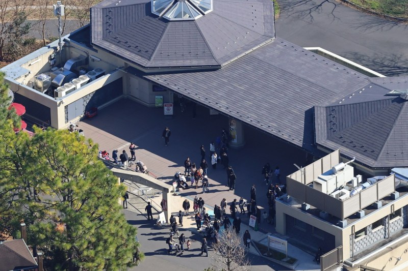 HOTNEWS.RO: VIDEO Panică la o grădină zoologică din Tokyo după ce un lup a evadat din țarc