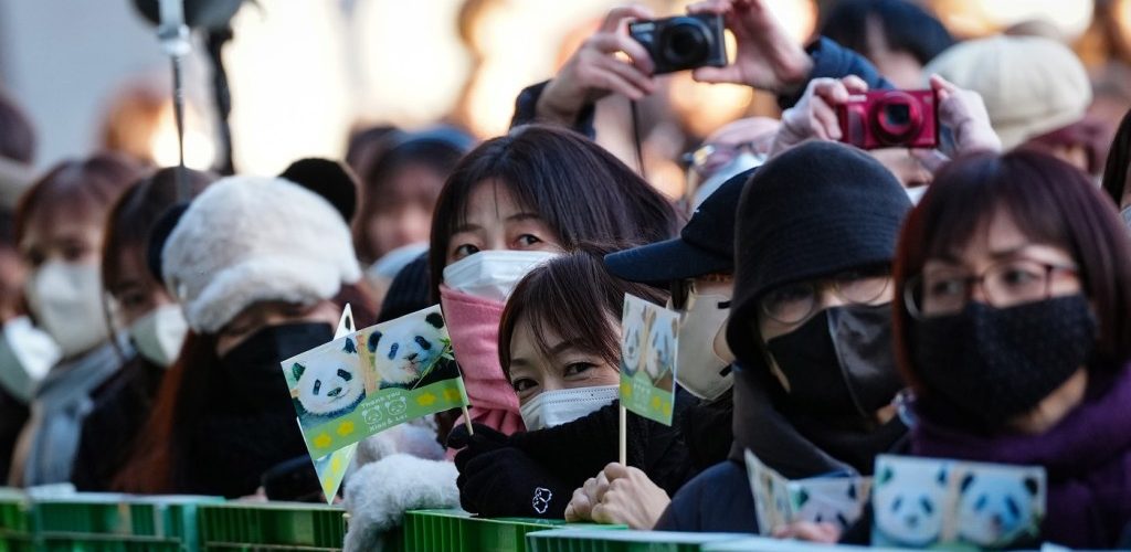 HOTNEWS.RO: Ultimii doi urși panda din Japonia pleacă spre China, pe fondul înrăutățirii relațiilor bilaterale