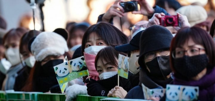 HOTNEWS.RO: Ultimii doi urși panda din Japonia pleacă spre China, pe fondul înrăutățirii relațiilor bilaterale