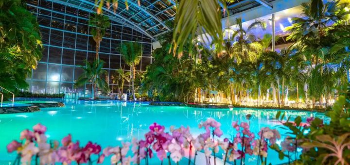 HOTNEWS.RO: Herbarium Festival 2026: cel mai mare festival de wellness din lume dedicat terapiilor pe bază de plante revine la Therme București