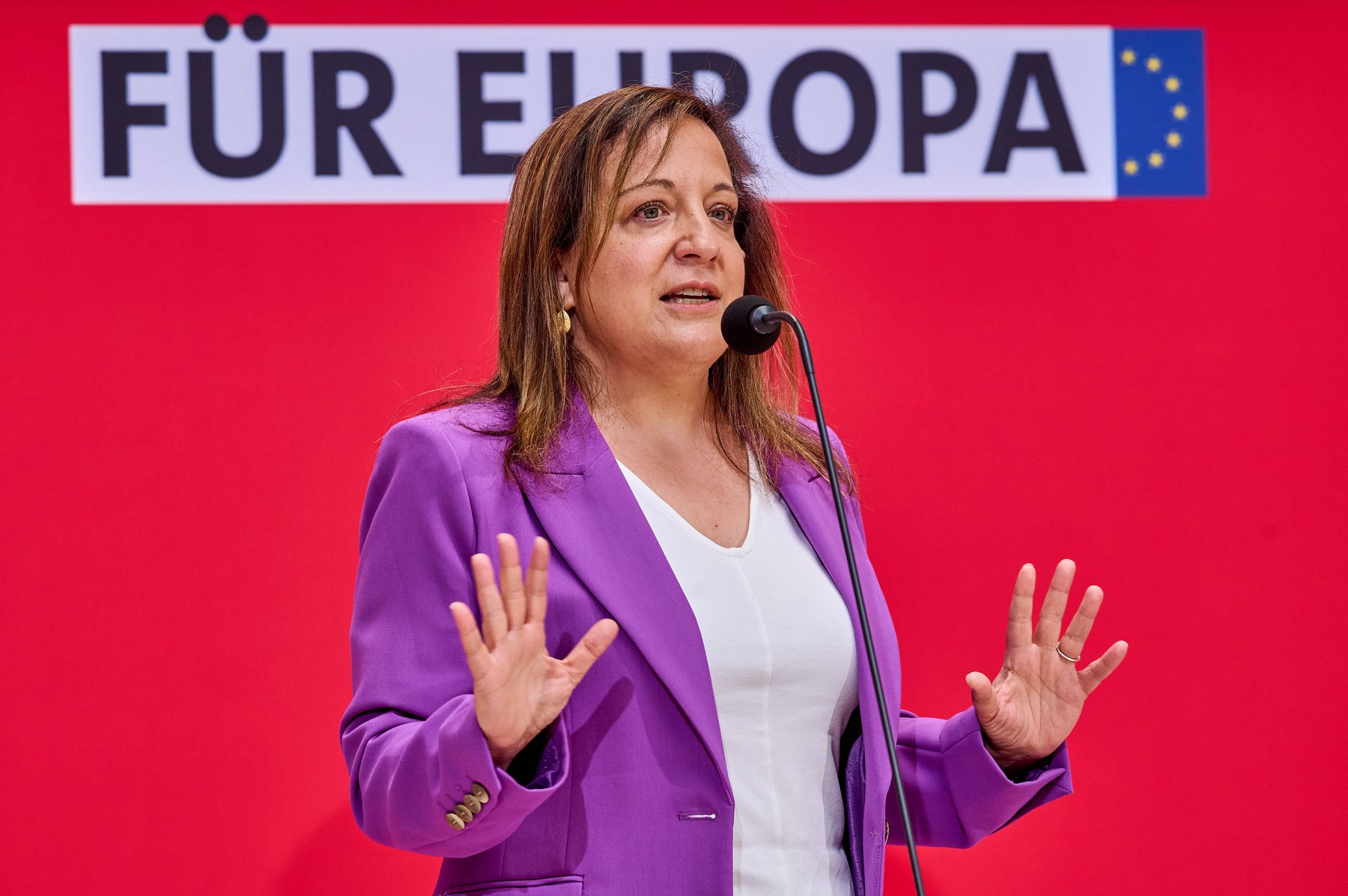 HOTNEWS.RO: Lidera social-democraților din Parlamentul European, declarație de susținere pentru PSD după anunțul depunerii moțiunii de cenzură