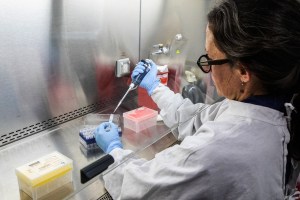 HOTNEWS.RO: Rezultat negativ în cazul pompierului din Caraş-Severin internat cu suspiciune de hantavirus